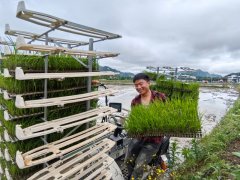 稻粮油轮做无缝跟尾&hellip;